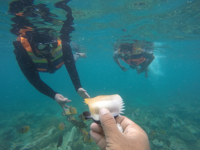 Snorkeling Lombok